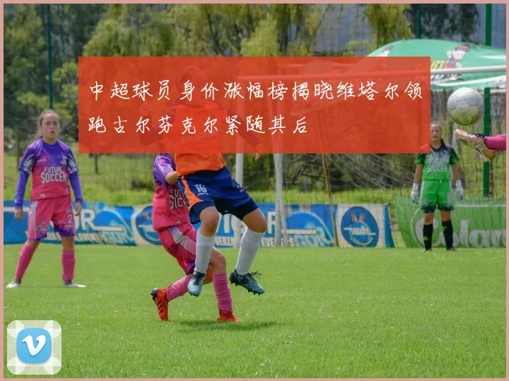 中超球员身价涨幅榜揭晓维塔尔领跑古尔芬克尔紧随其后