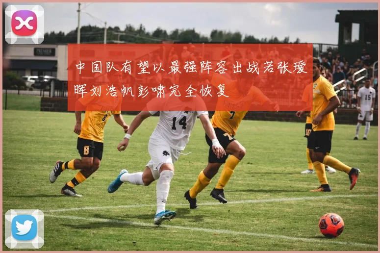 中国队有望以最强阵容出战若张瑷晖刘浩帆彭啸完全恢复